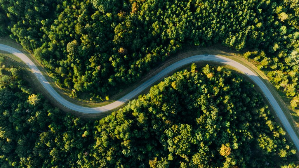 An aerial view of a winding path through a thick forest